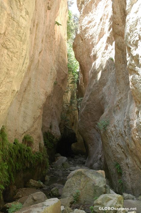 Avakas Gorge, Cyprus.
