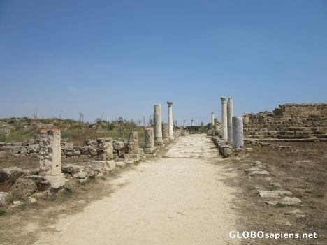 Postcard Ancient Salamis