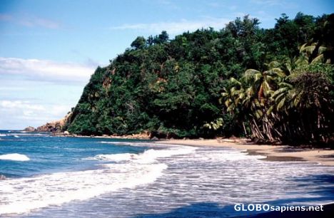 Postcard Batibou Beach - Dominica
