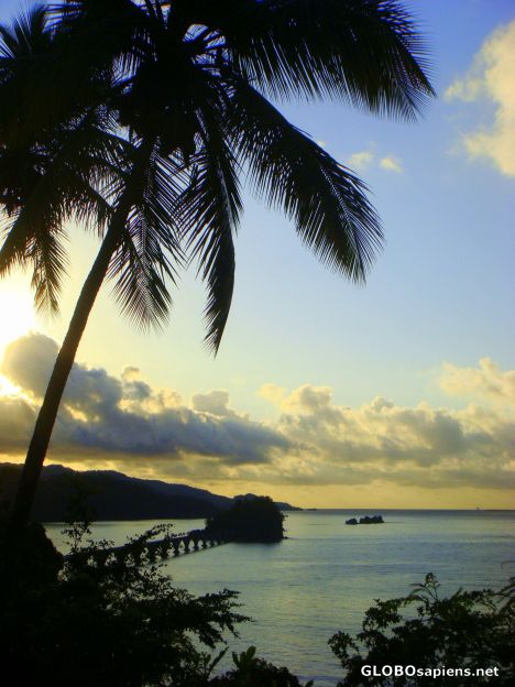 Postcard my tropical paradise