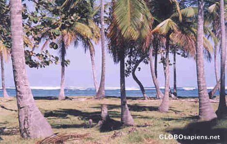 Postcard Las Galenas beach-Samana peninsula