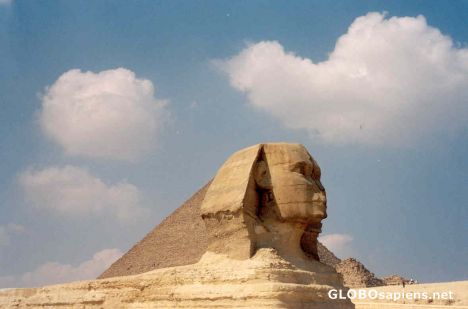 Postcard Sphinx