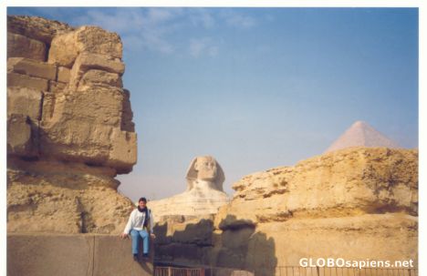 Postcard I slept every night under the glance of the Sphinx