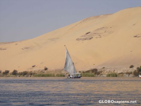Postcard Felucca on the Nile
