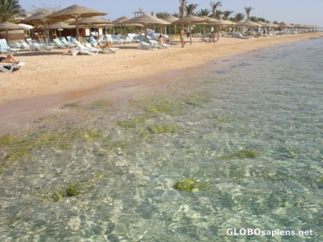 Postcard Beach overlooking Red Sea