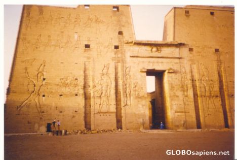 Postcard Magnificent hawk god Horus temple in Edfu!