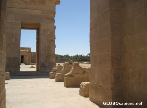 Postcard Once Proud Sphinxs - Temple of Hibis