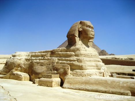 Postcard Great Sphinx from the side