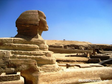 Postcard Great Sphinx Face in profile