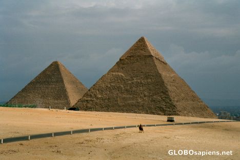Postcard Giza - camel and the pyramids