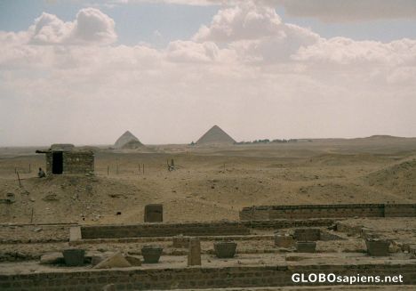 Postcard Saqqara