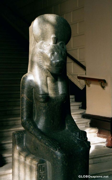 Postcard Egyptian Museum in Cairo