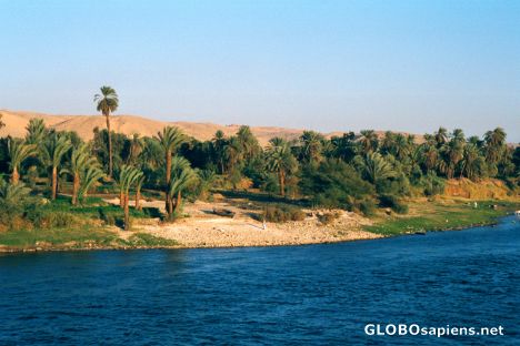Postcard The Nile Valley - typical view