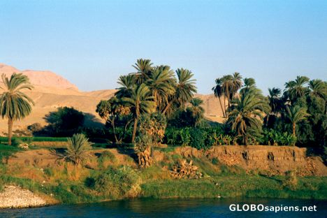 Postcard The Nile Valley - at the banks of the Nile