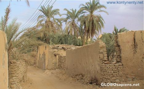 Postcard An alley in Farafra Oasis