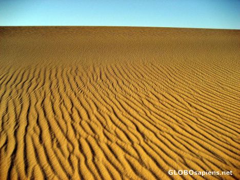 Postcard Shifting Sands of the Sahara Desert
