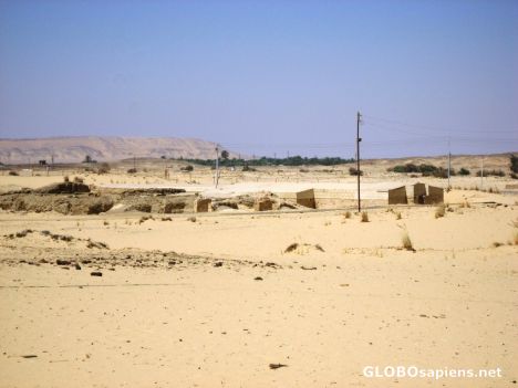 Postcard Excavation Site-Valley of the Golden Mummies