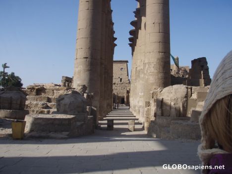 Postcard Luxor Temple - a look through the Lotus Columns