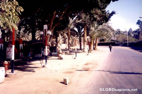 Postcard Road to Saqqara