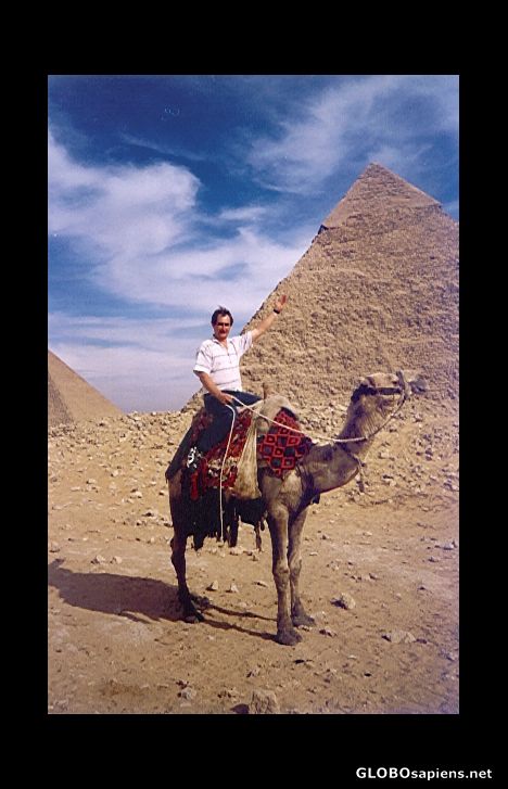 Postcard camel-man