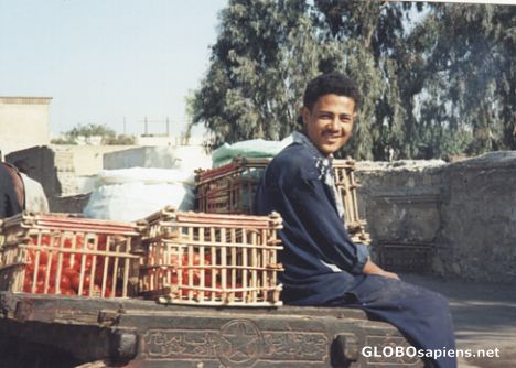 Postcard On the streets of Aswan