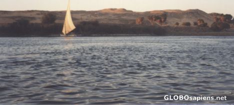 Postcard Cruzin the Nile
