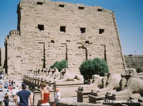 Postcard Karnak-3km Sphinx-Luxor Temple