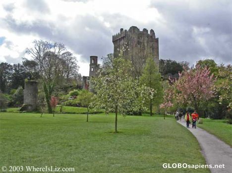 Postcard Grounds of Blarney Castle, Ireland