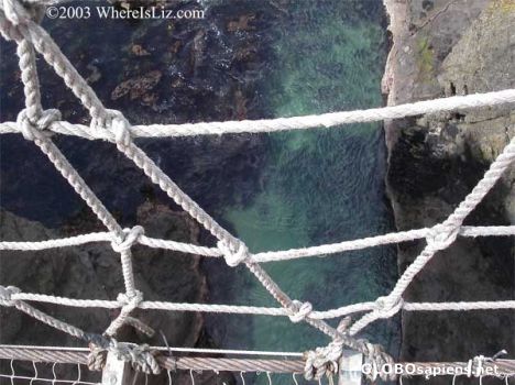 Postcard Looking Down from the Rope Bridge