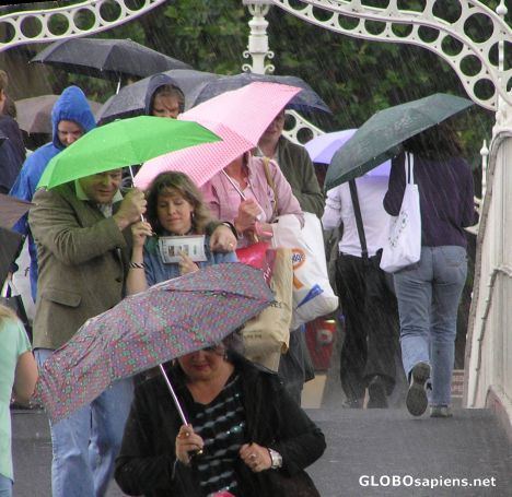 Postcard Umbrellas