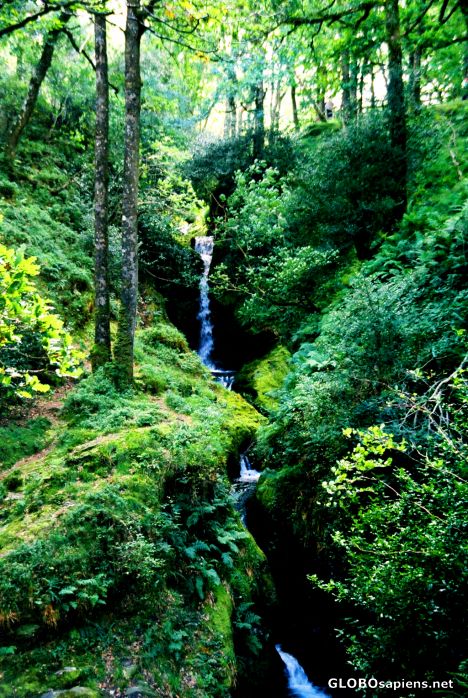 Postcard Wicklow County - waterfalls