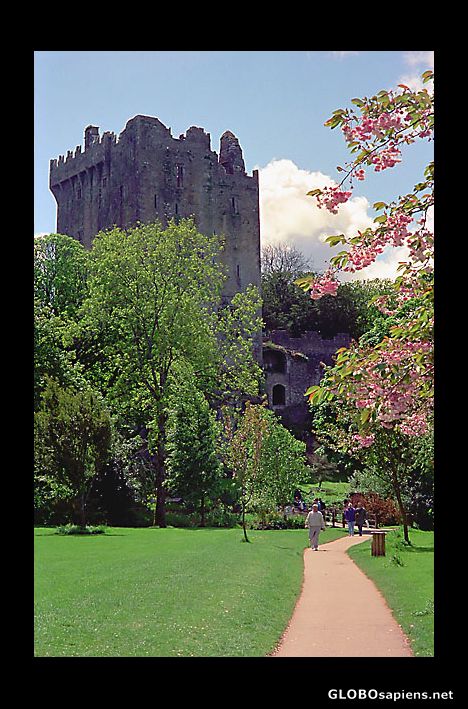 Postcard Blarney Castle and grounds