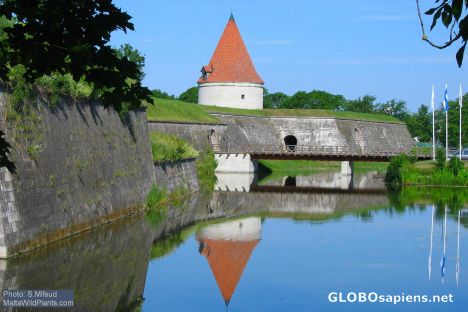 Postcard Reflections in moat surrounding Kuressaare castle