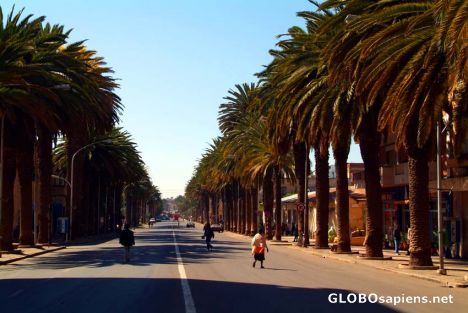 Postcard Asmara's main street