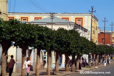 Postcard Asmara's side street