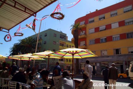 Postcard Asmara's best cafe