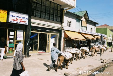 Postcard Street in Addis