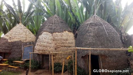 Little huts of Dorze tribe