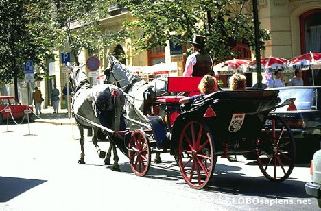 Postcard Carriages in the City