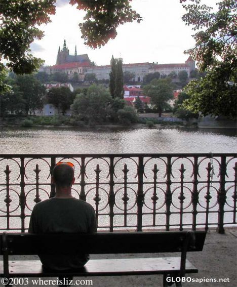 Postcard Contemplating the Vltava, Prague, Czech Republic