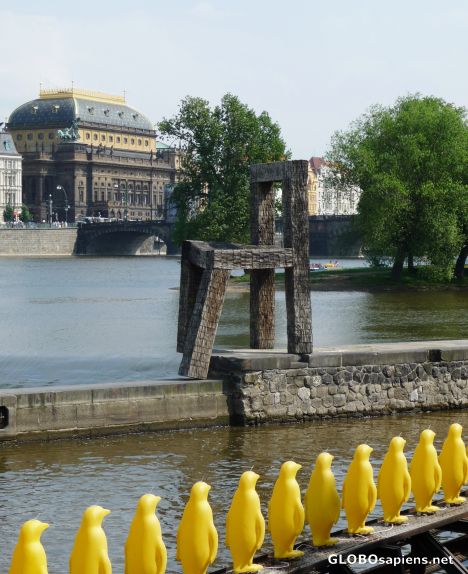 Postcard Penguins in Prague -
