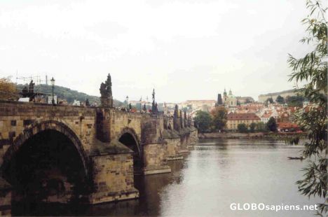 Postcard Charles Bridge and the Moldau