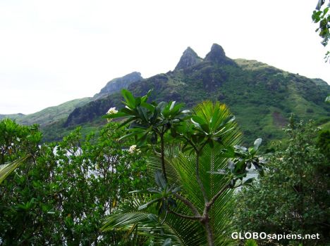 Postcard the highest peak on waya island