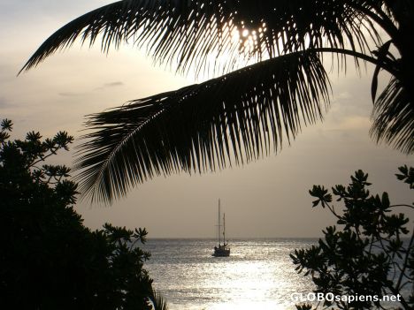 waya island sunset