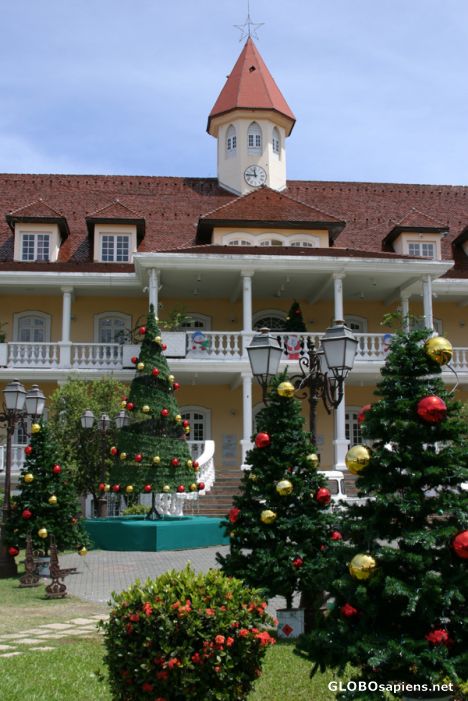 Postcard Papeete, City Hall and Christmas trees