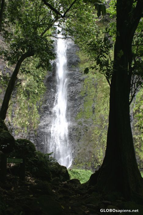 Postcard Te Faarumai Waterfalls - Vaimahuta - Tahiti