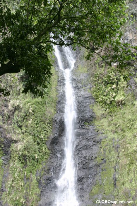 Postcard Te Vaimahuta  Waterfall - Tiarei - Tahiti