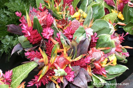 Postcard Tropical Flowers - Multicolour Bunch - Papeete