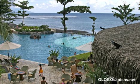 Postcard Radisson Hotel: the swimming-pool