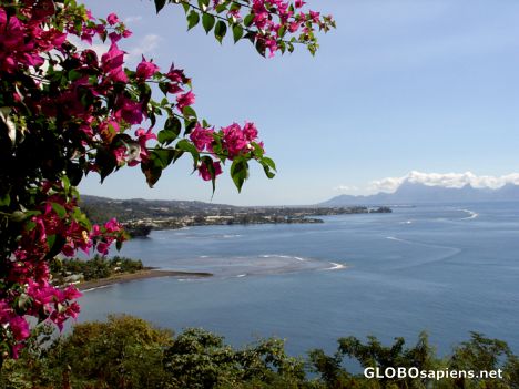Postcard Tahiti - Moorea view of Taharaa